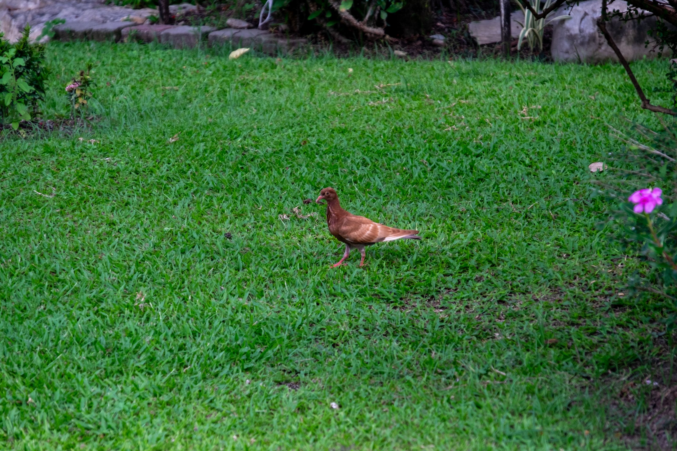 DSCF1299.jpg