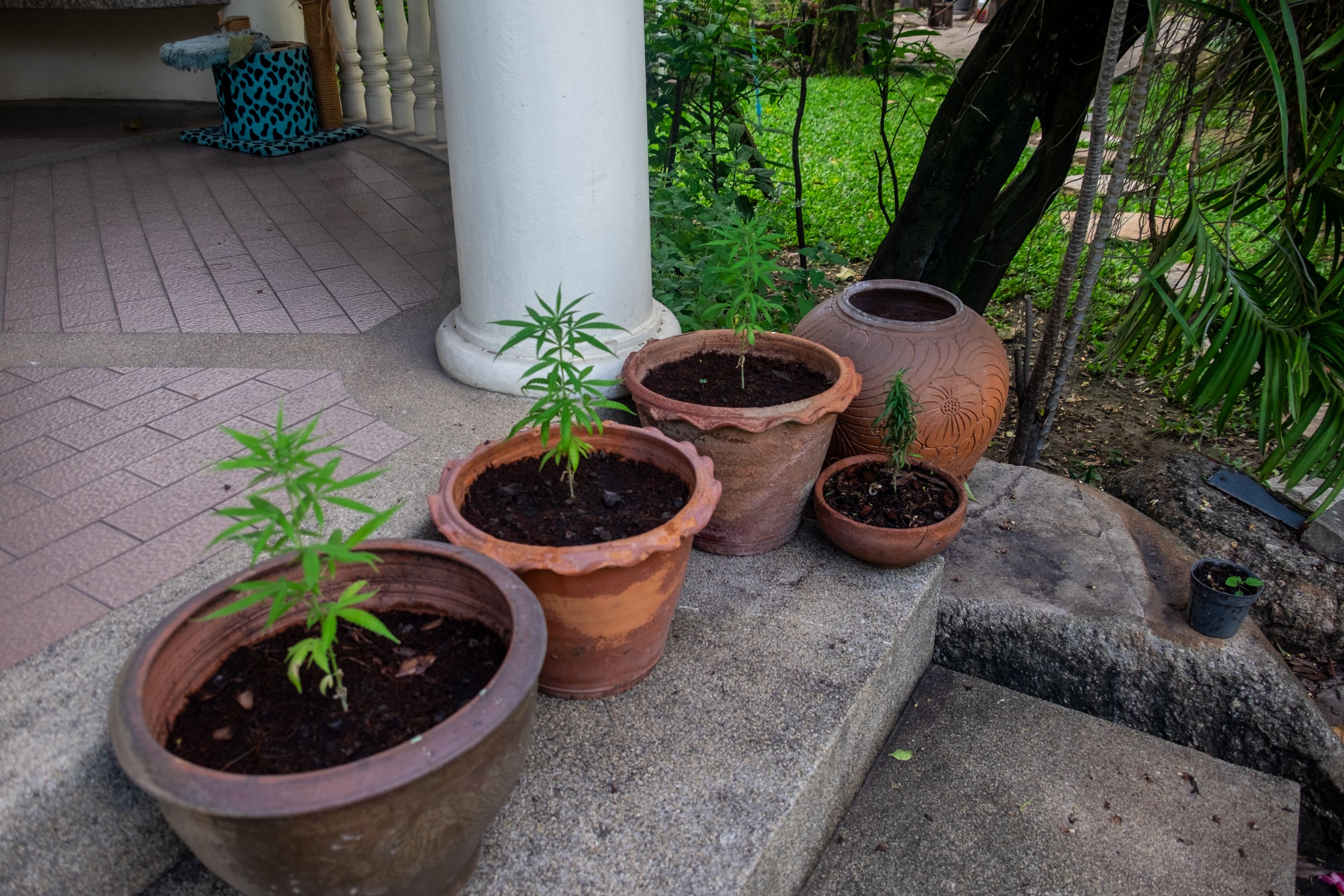 DSCF1255.jpg