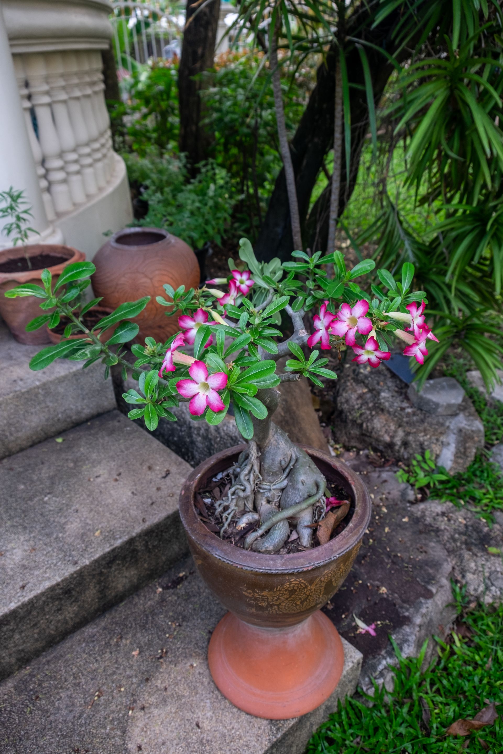 DSCF1256.jpg