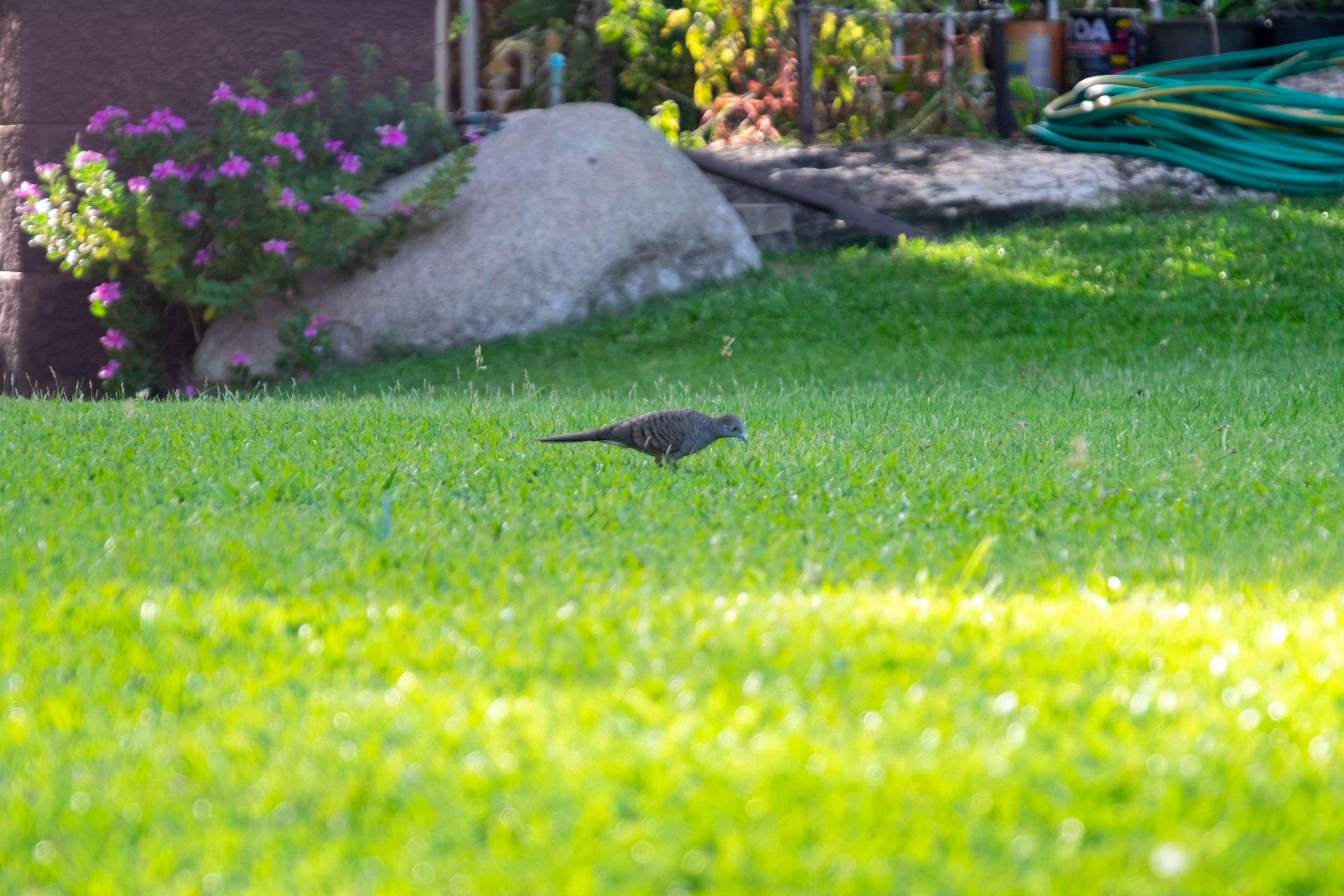 DSCF1340.jpg