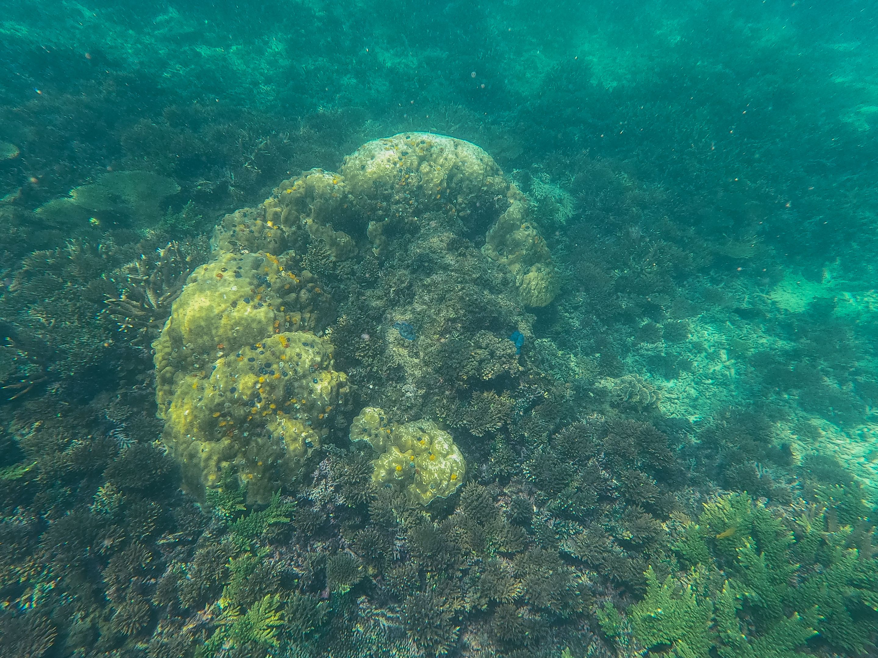 GOPR0288.jpg