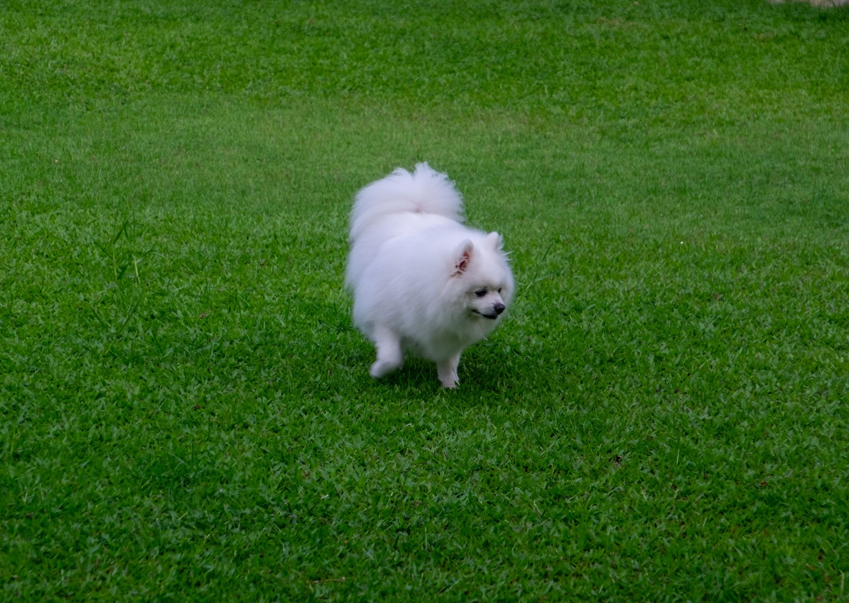 DSCF1240.jpg