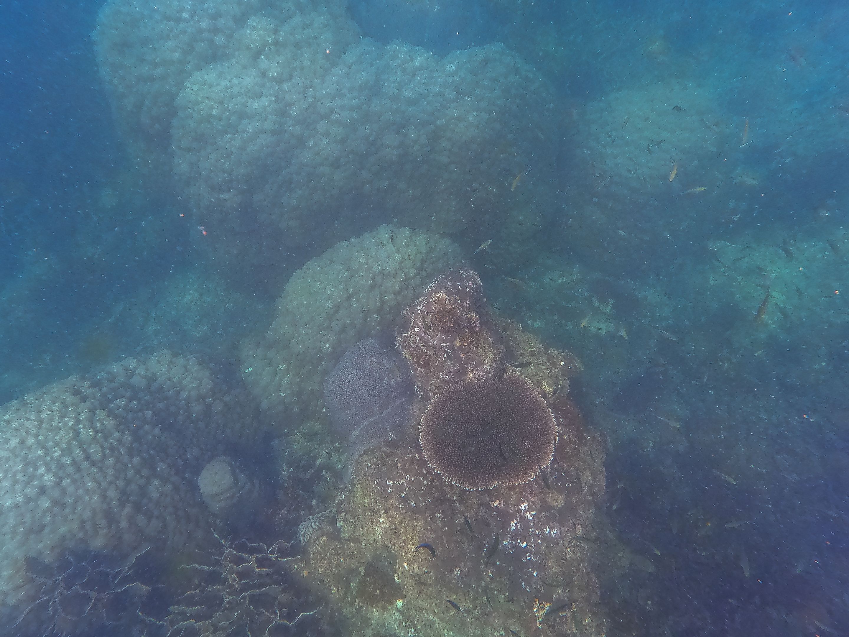 GOPR0317.jpg