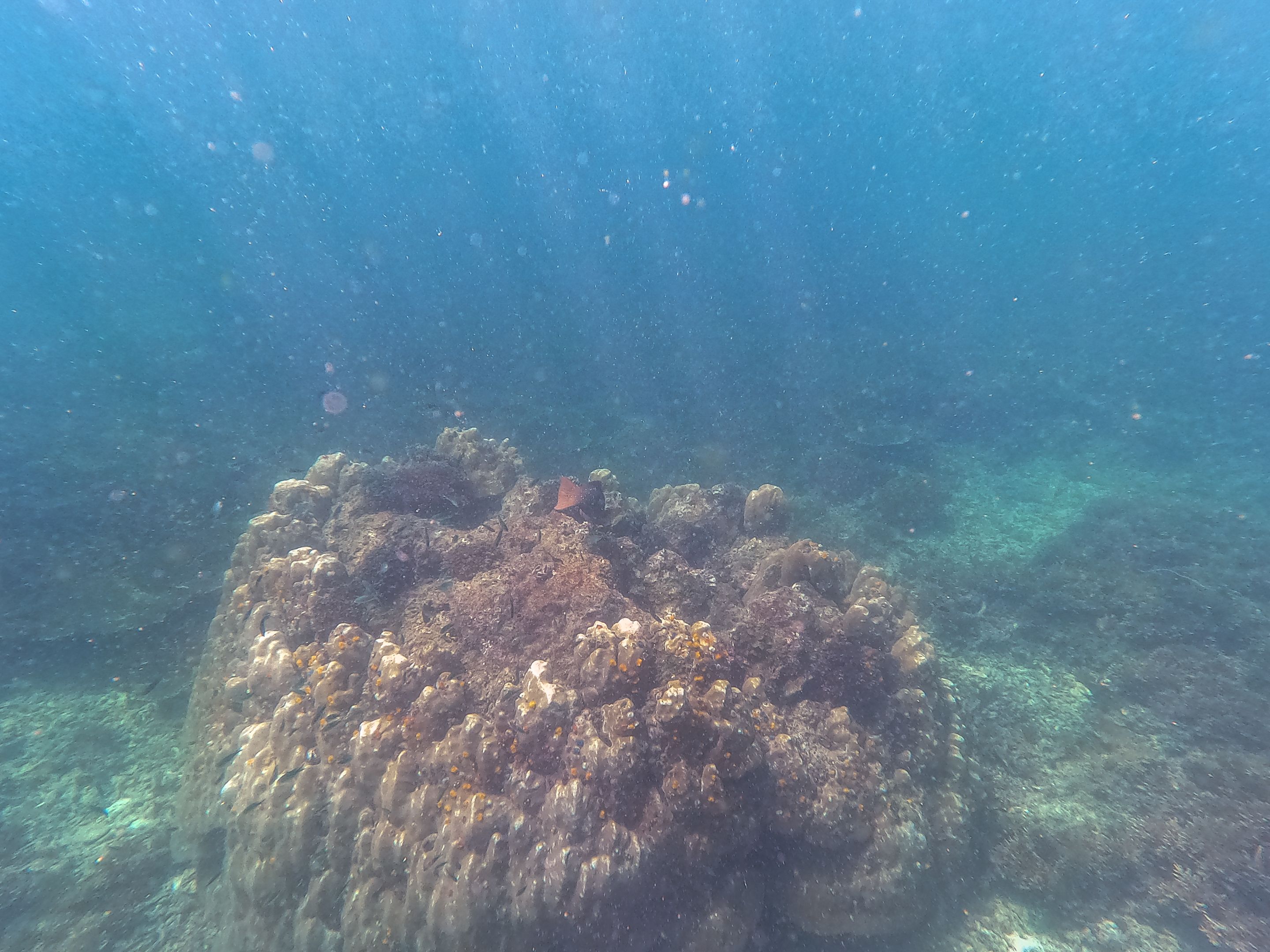 GOPR0299.jpg