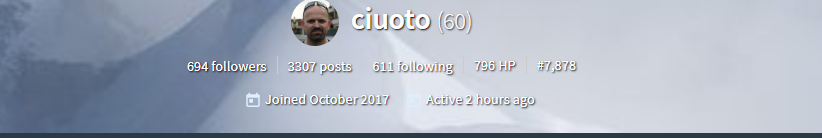 2a.png