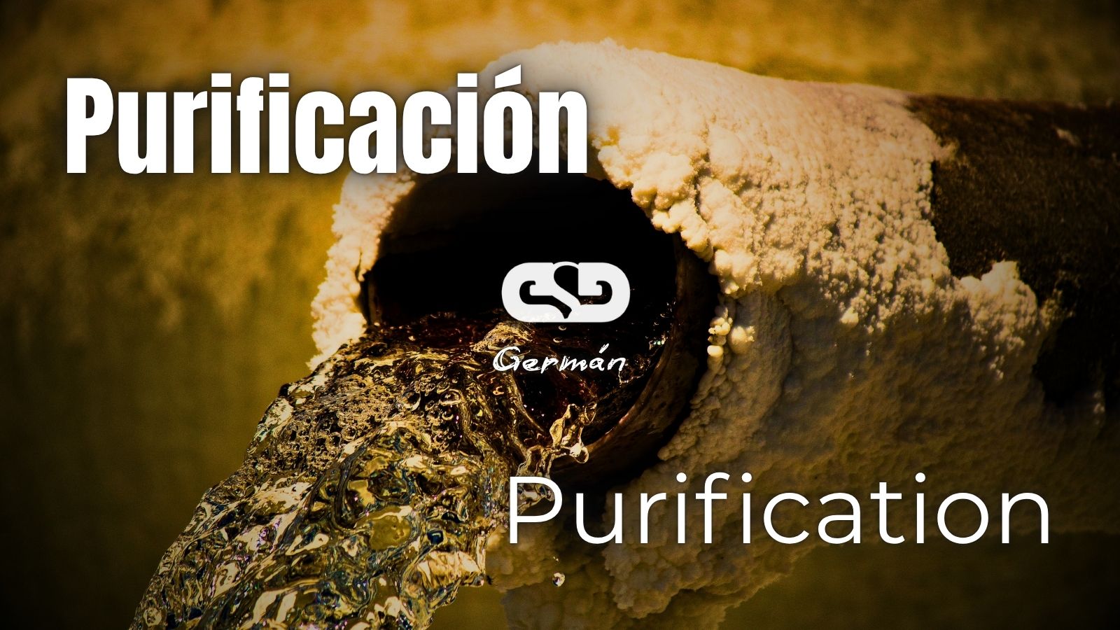 Purificación.jpg