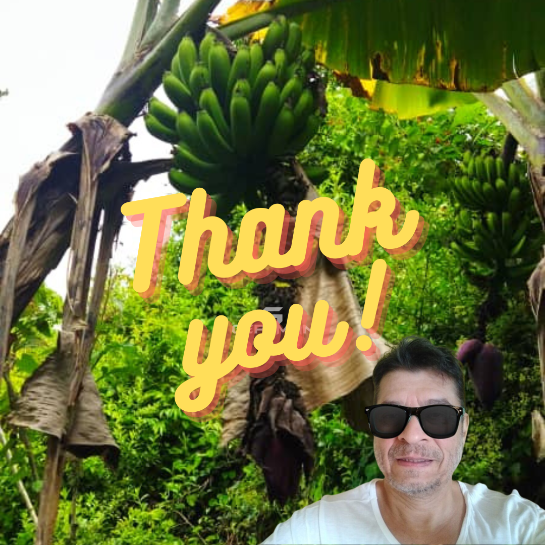 Post Instagram (2).png