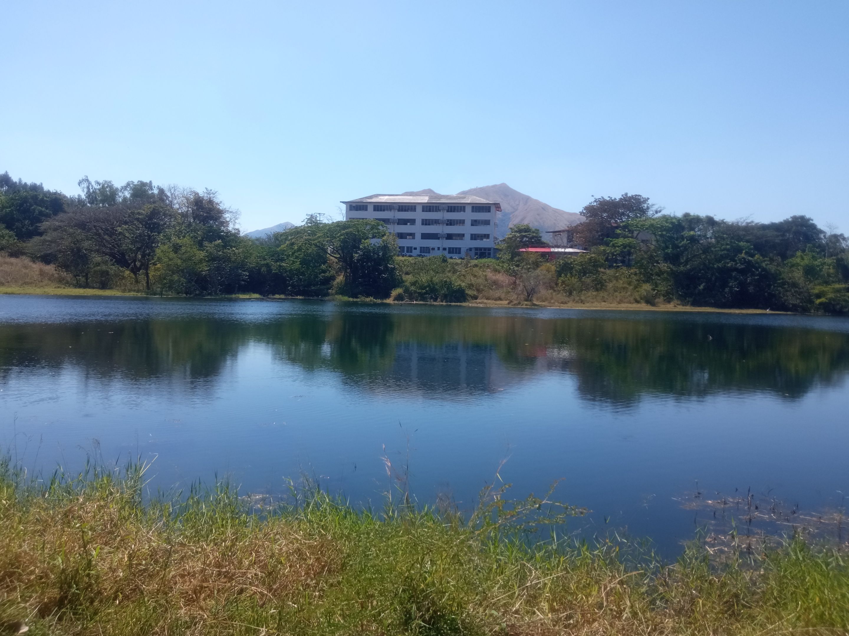 IMG_20240129_135627.jpg