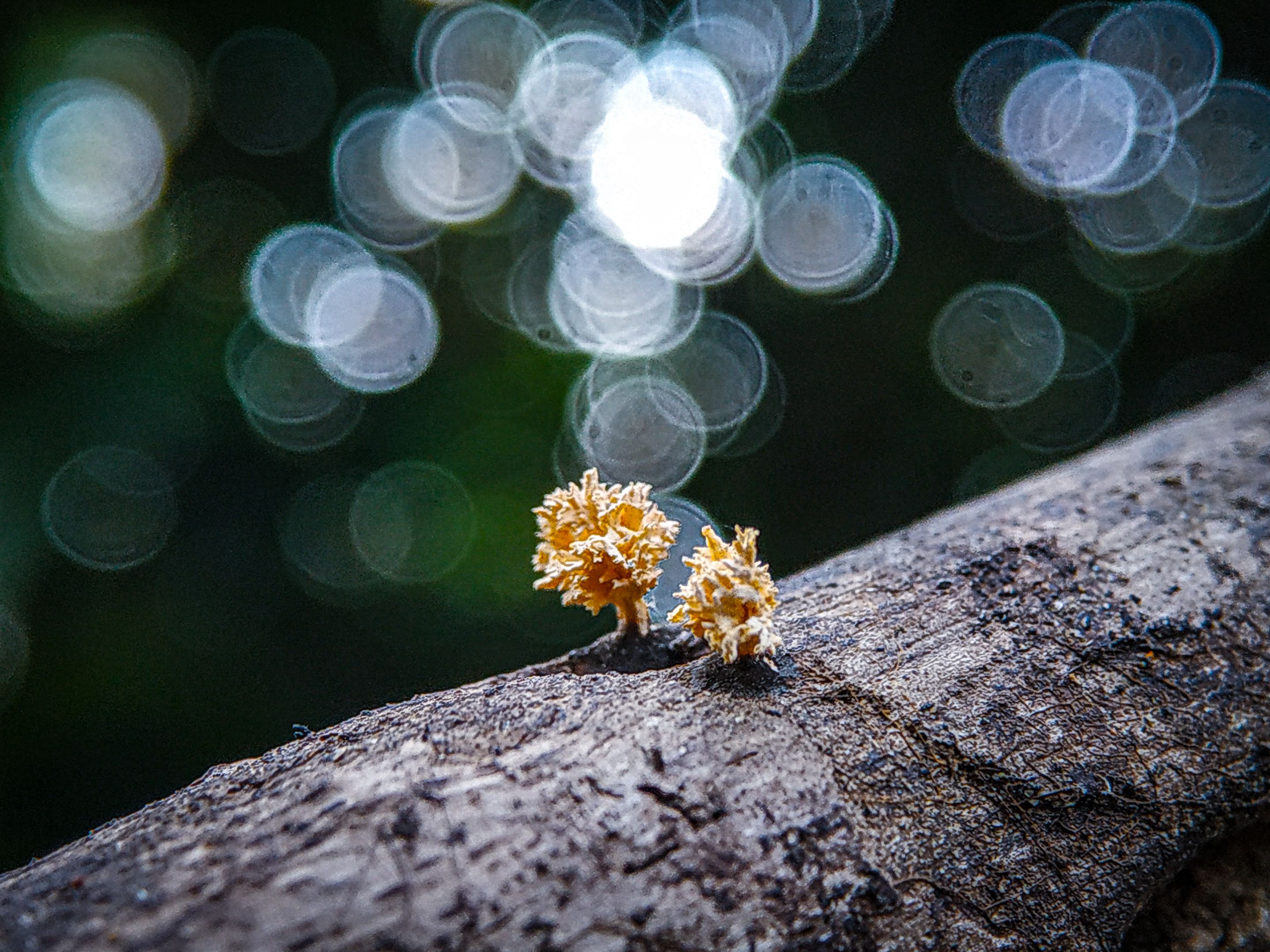 IMG_20220531_161427 (1).jpg