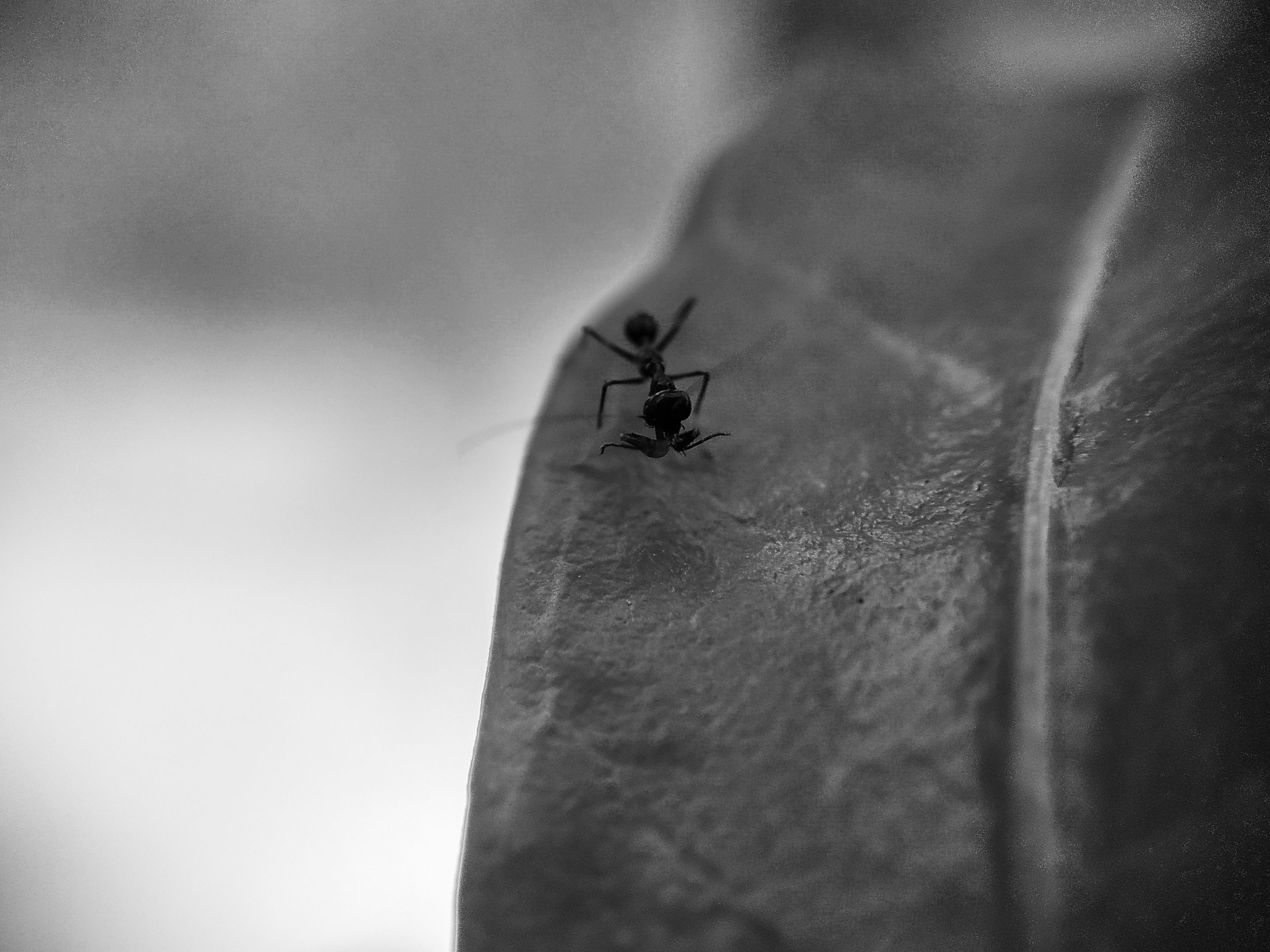 IMG_20220427_173032 (1).jpg