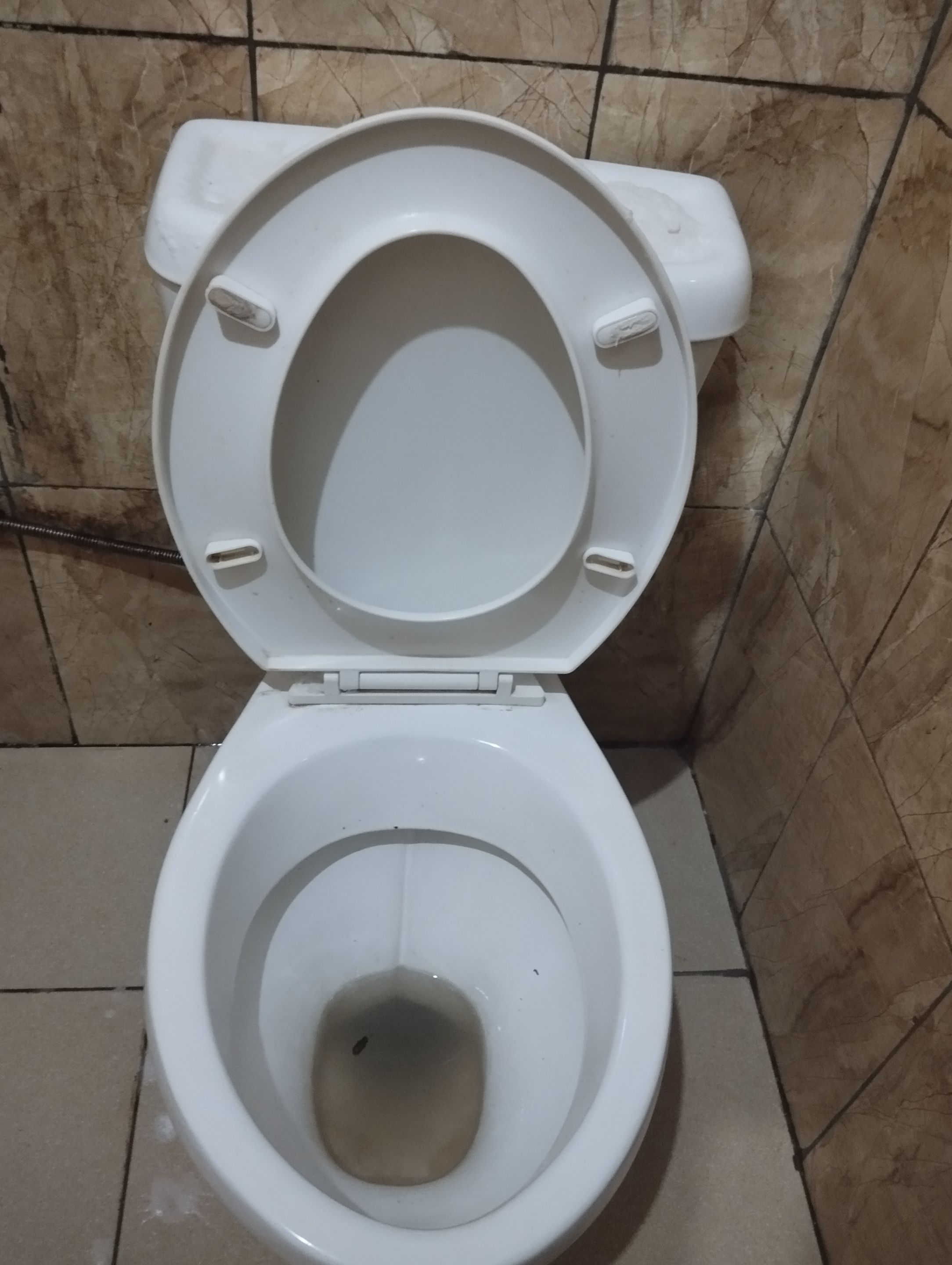 1000749206.jpg