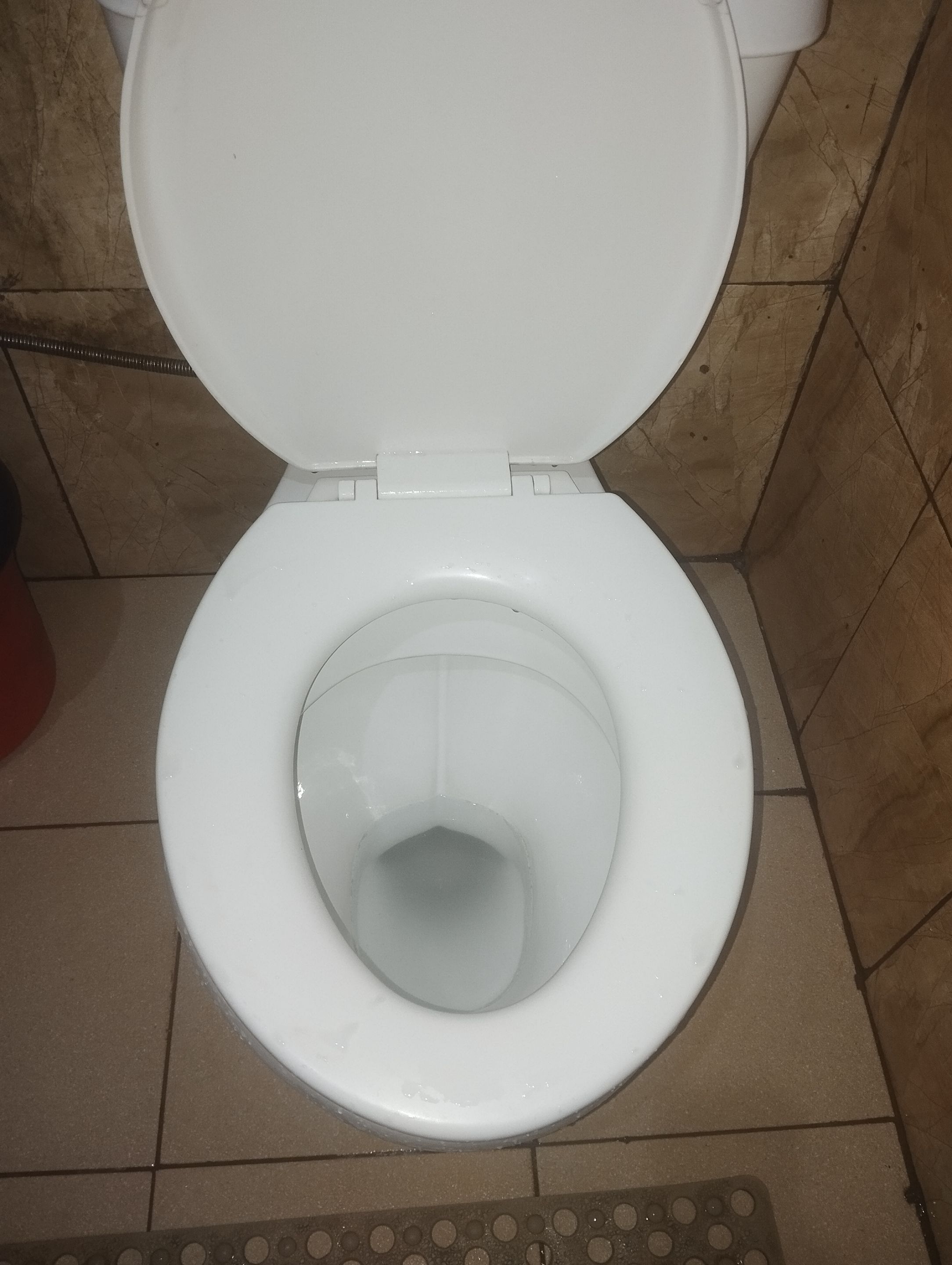 1000749241.jpg