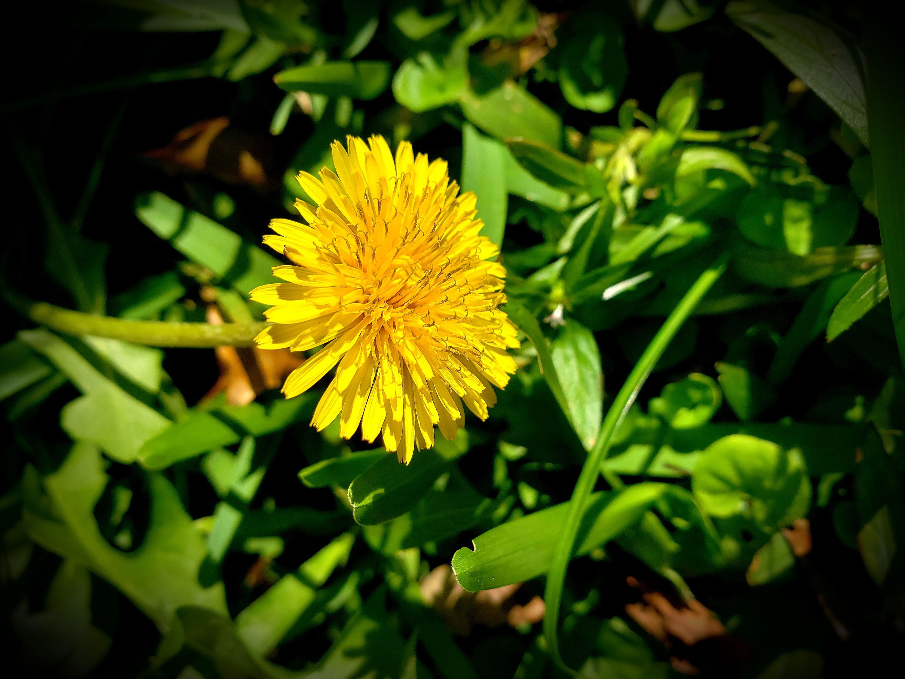 20220119_230723.jpg