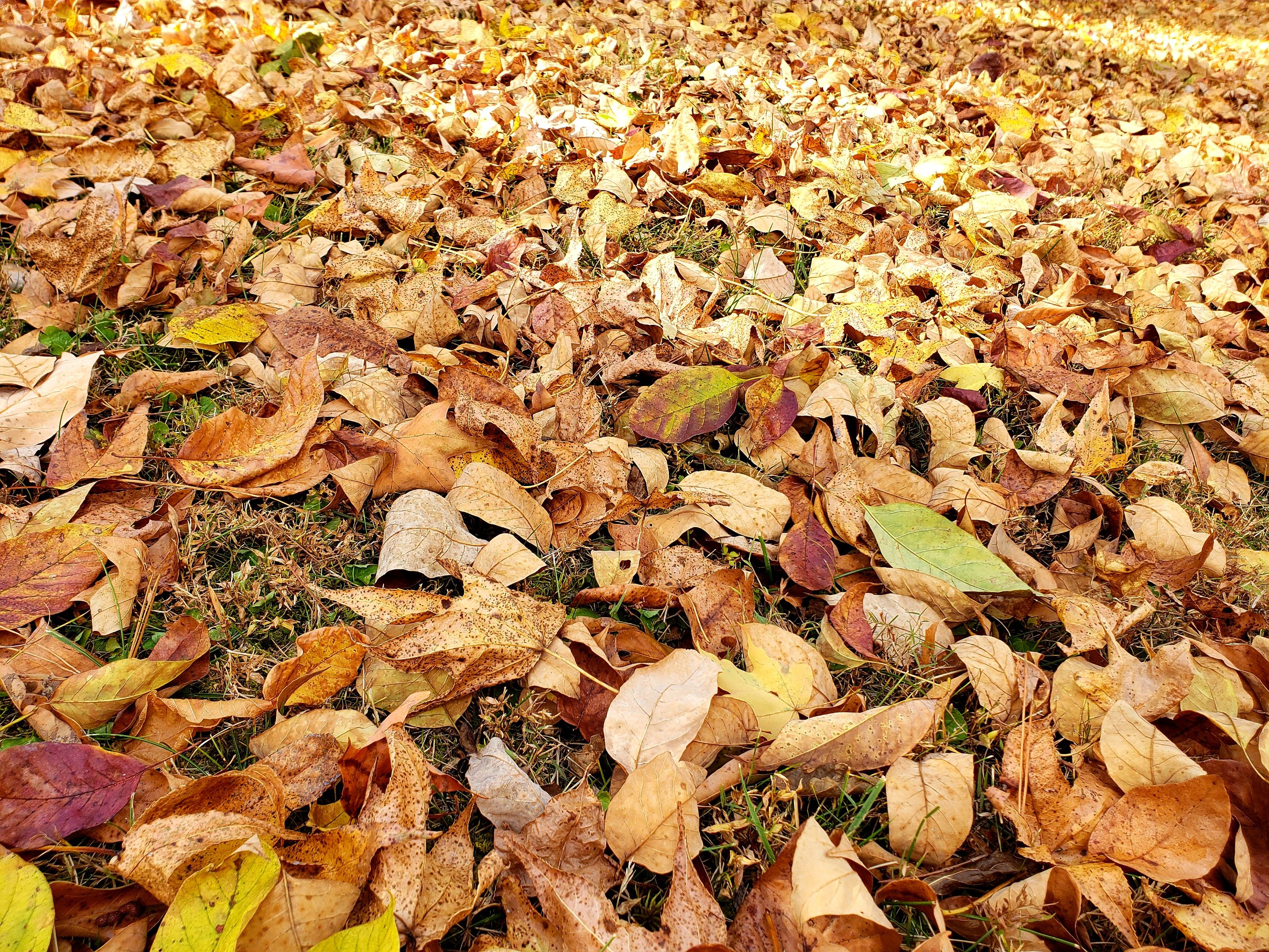 20221012_222336.jpg