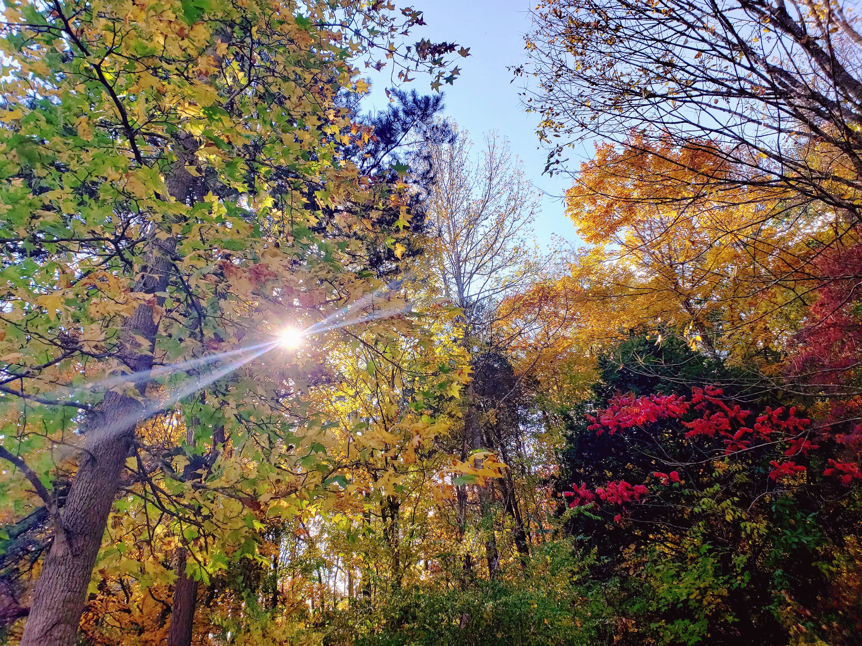 20221012_222242.jpg