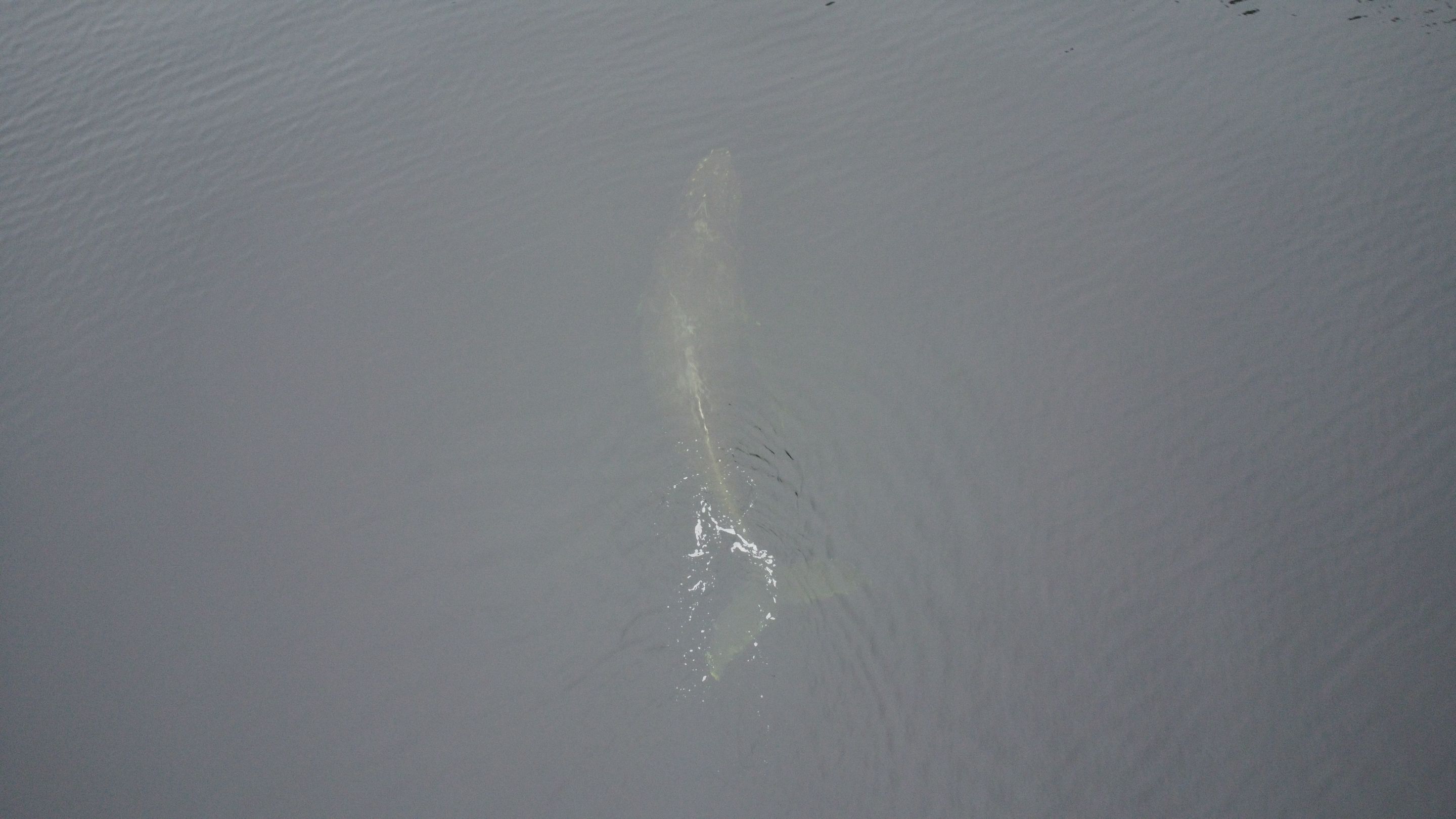 DJI_0104.JPG