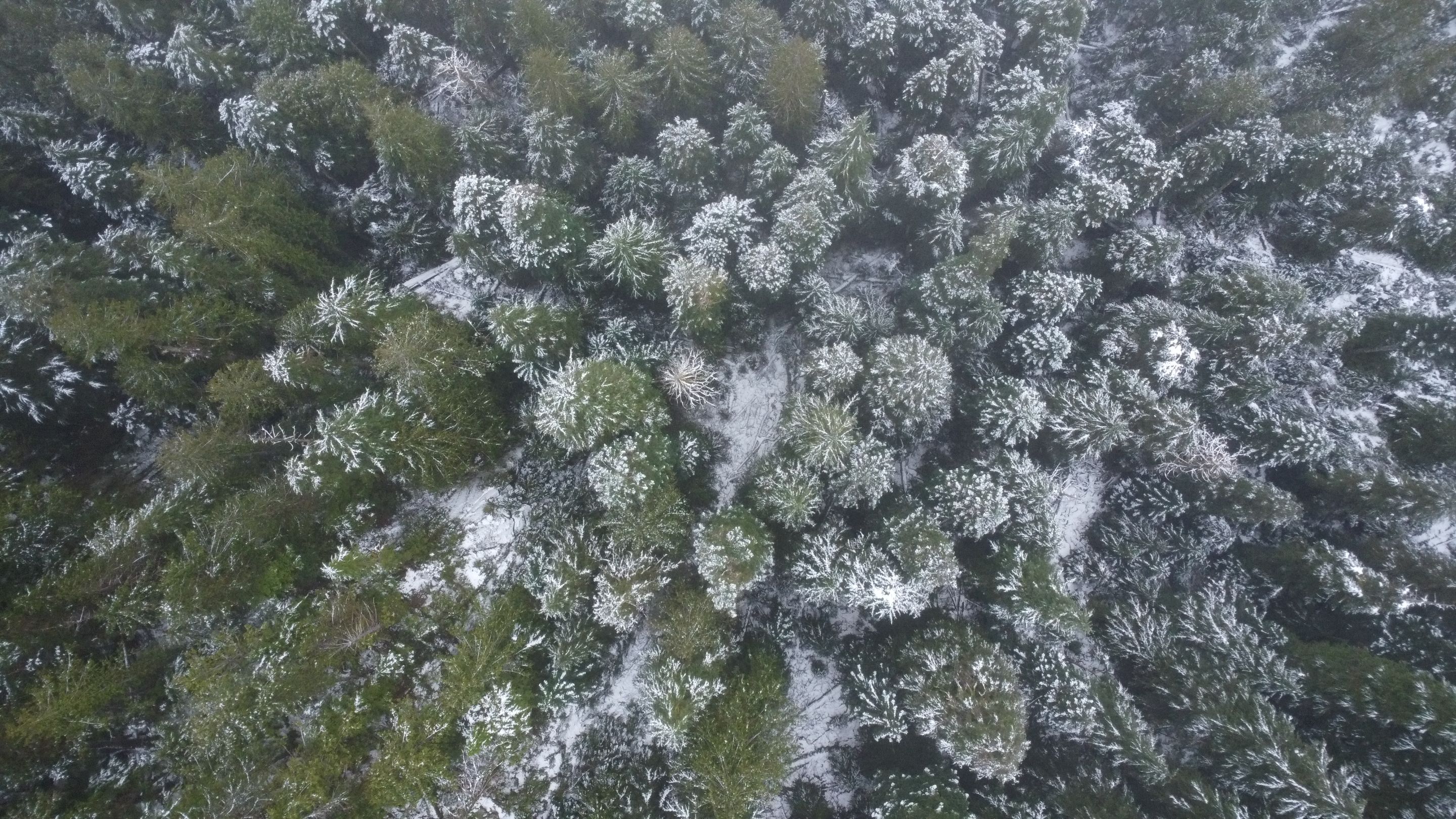DJI_0095.JPG