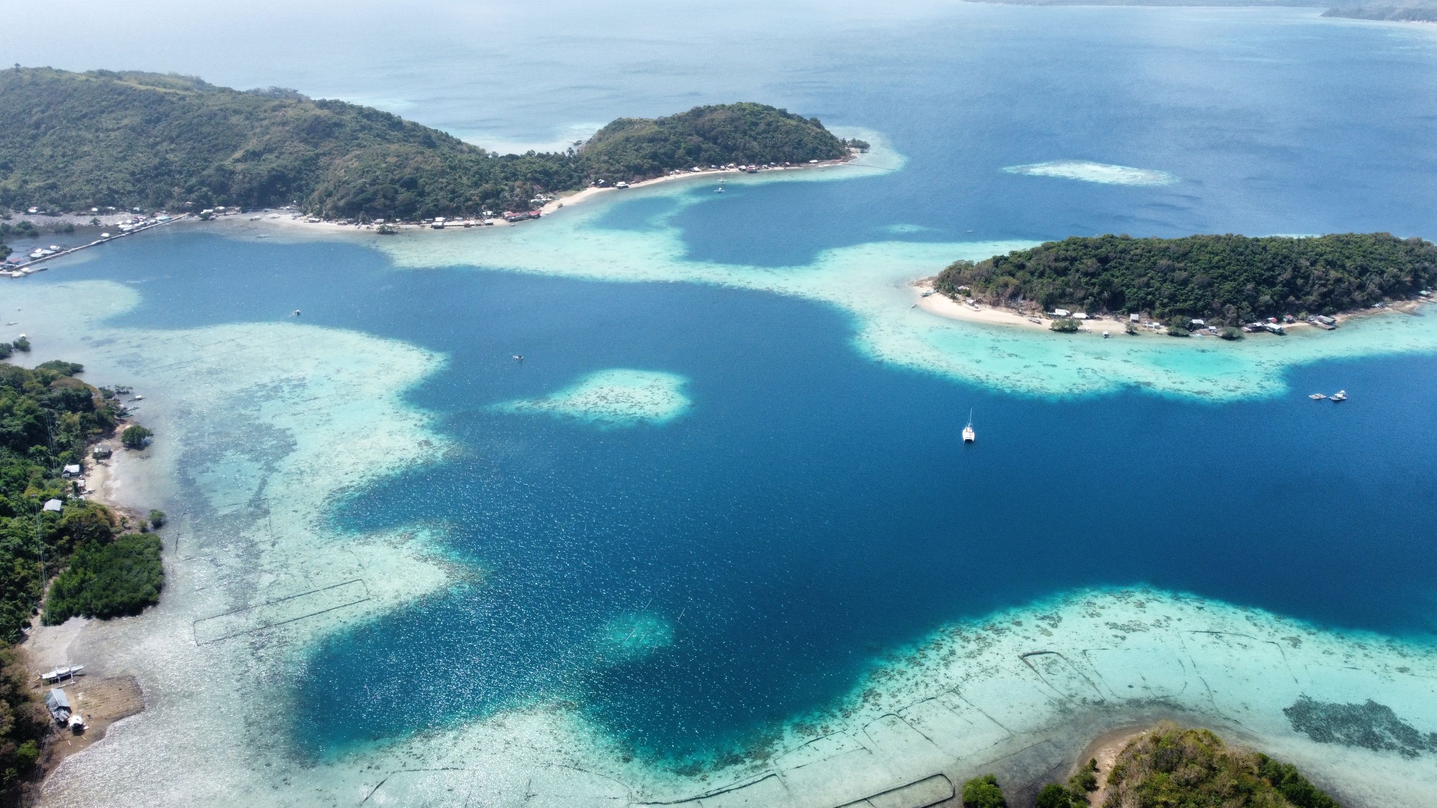 dji_fly_20240120_111444_236_1705720719900_photo_optimized.jpg