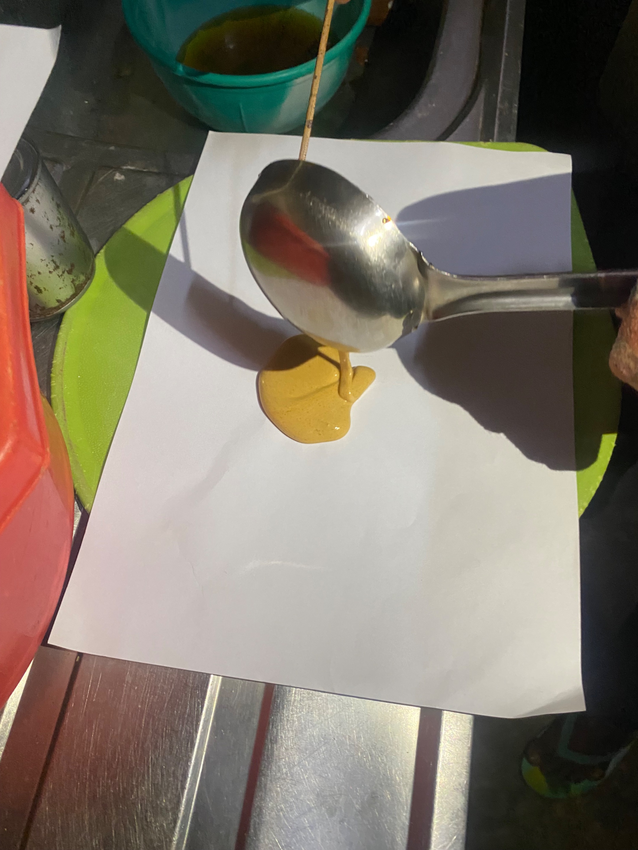 IMG_6869.jpeg