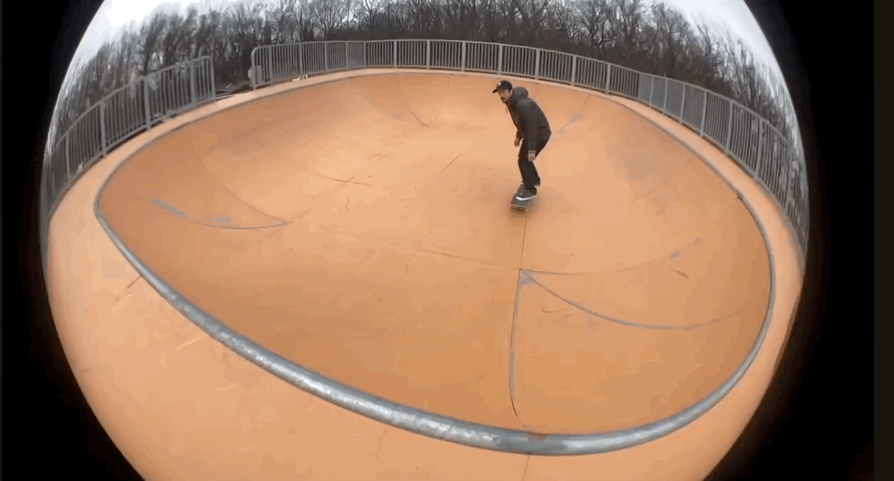 kf back 5050 gif tokarz.gif