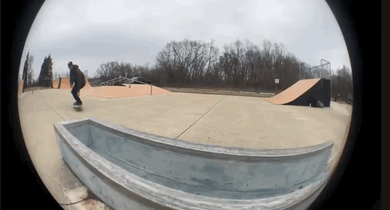 front 5050 back 180 tokarz.gif