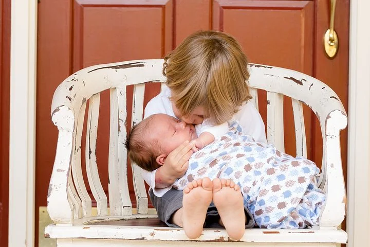 brothers457234__480.webp