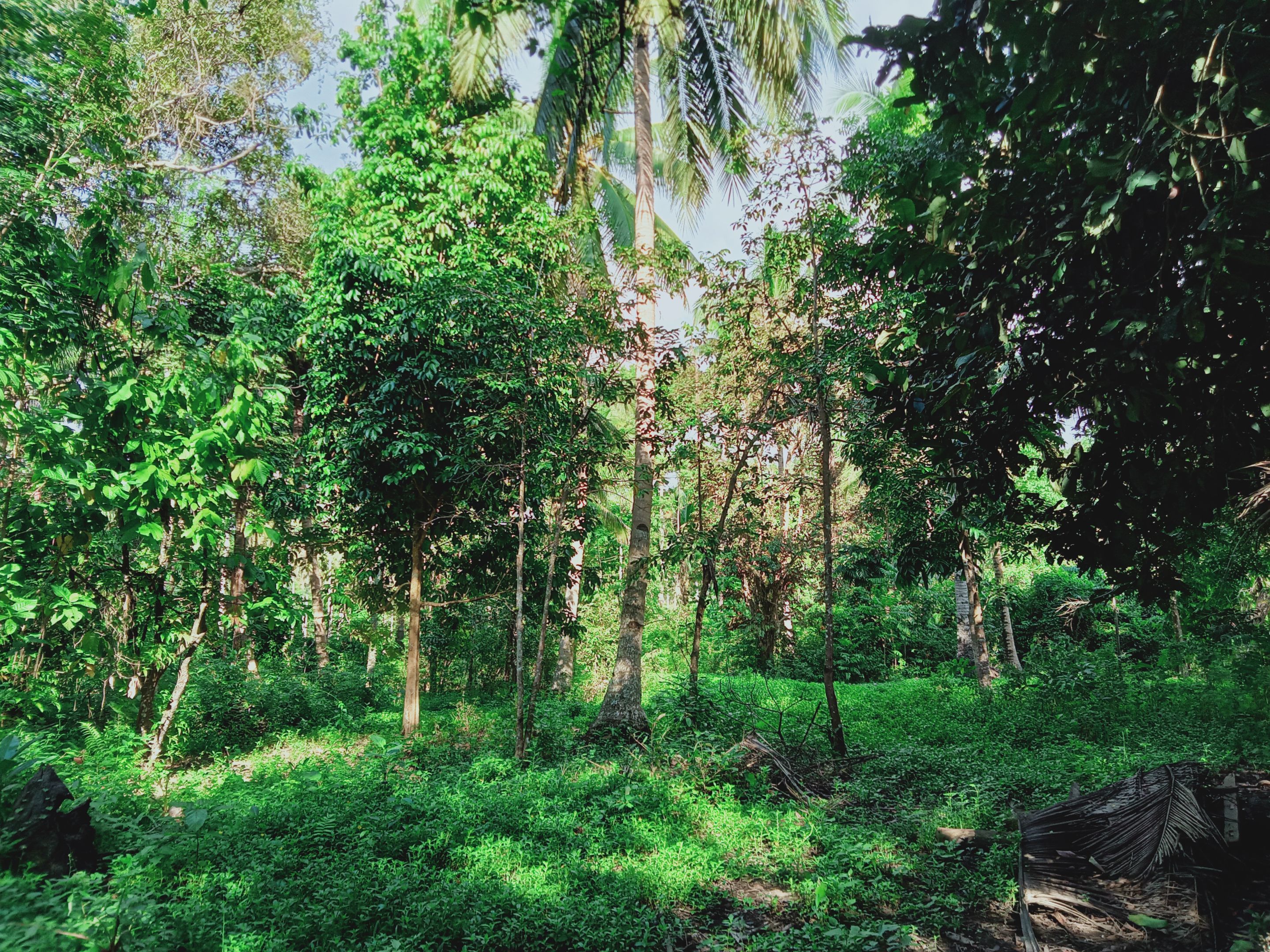 IMG20240103151643_00.jpg