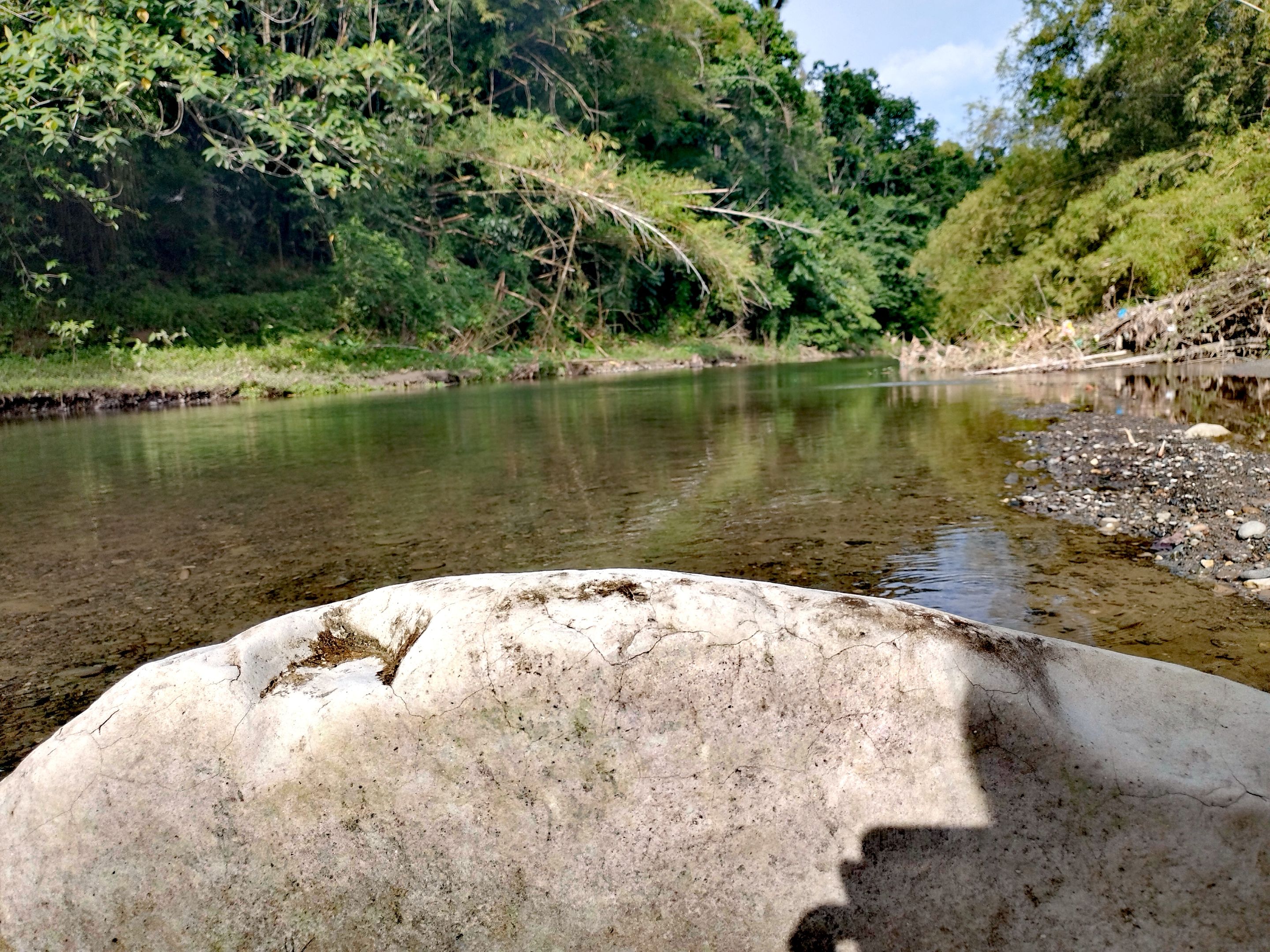 IMG_20250708_163047.jpg