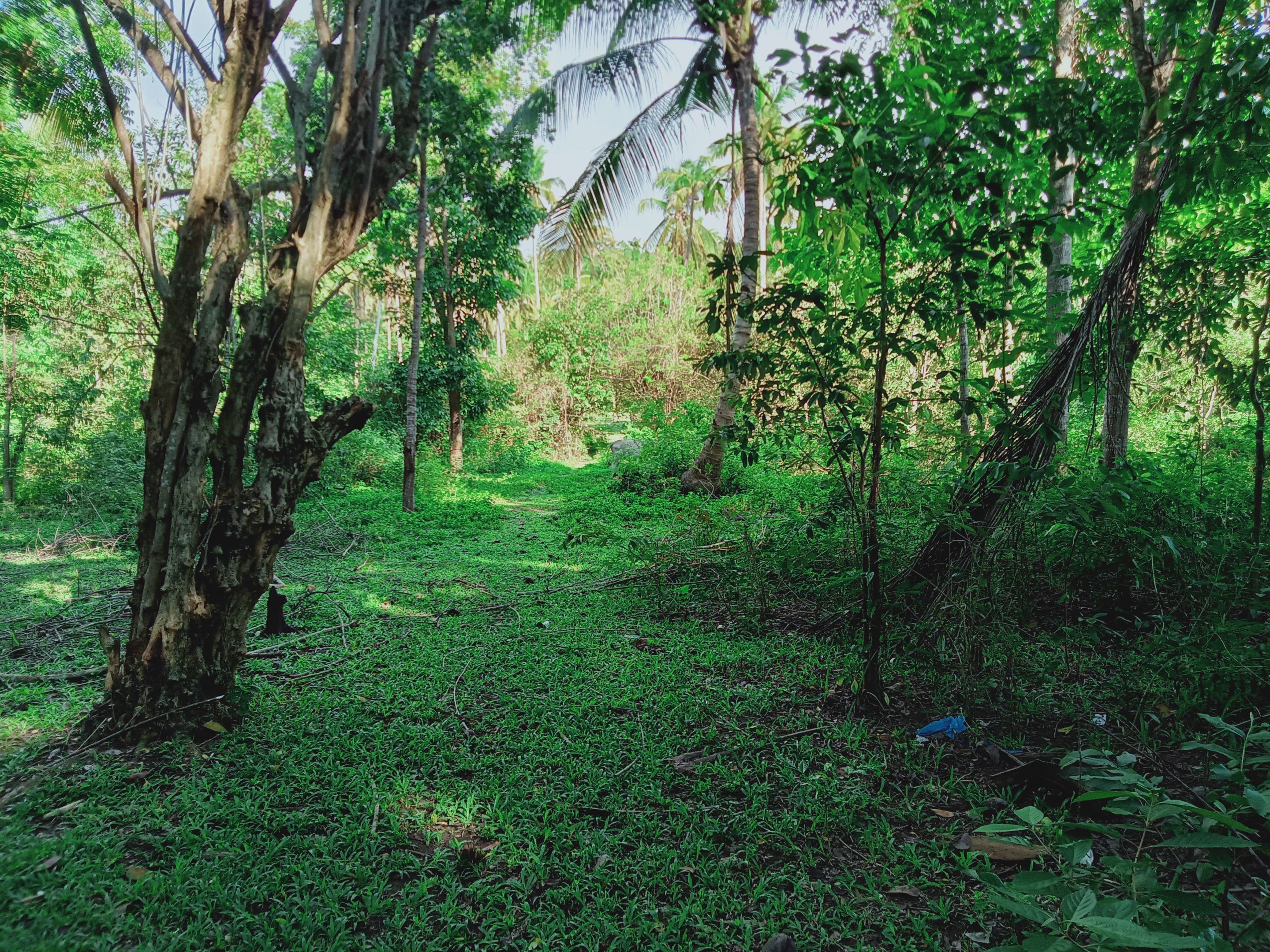 IMG20240103151404_00.jpg