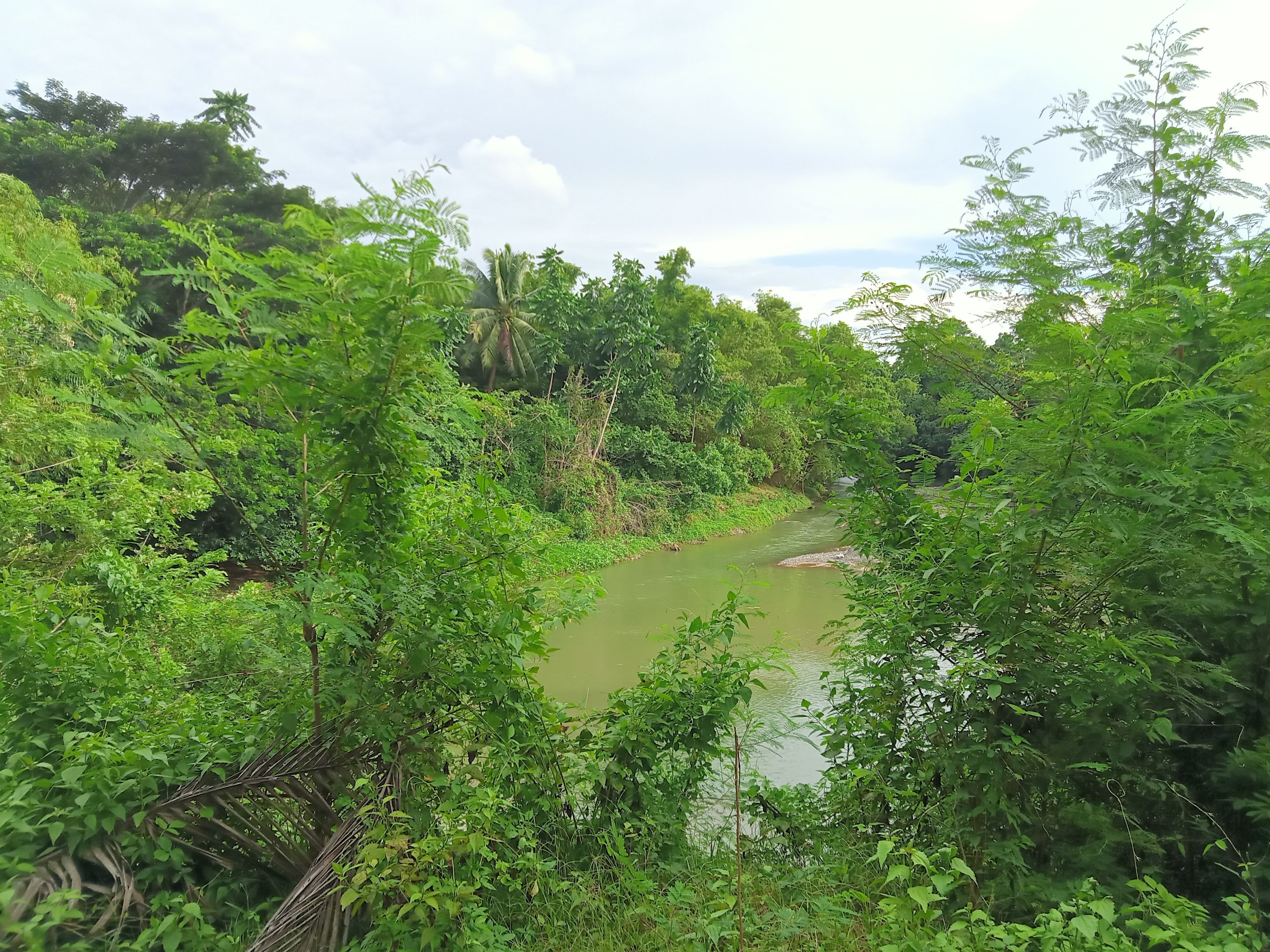 IMG20240826153648_00.jpg