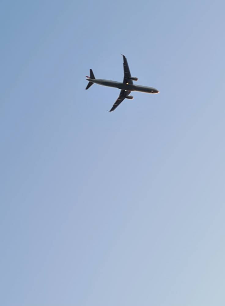 531229989_24634168512871883_2503621749251579885_n.jpg