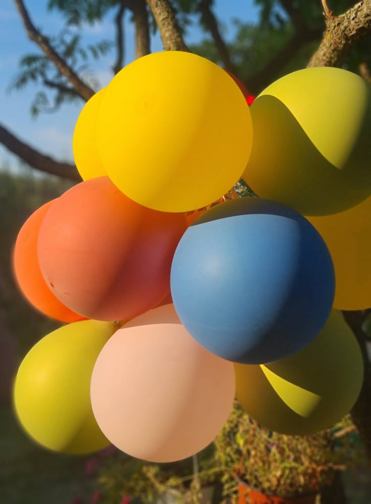 527495182_24563922046563197_5113167487575393480_n.jpg