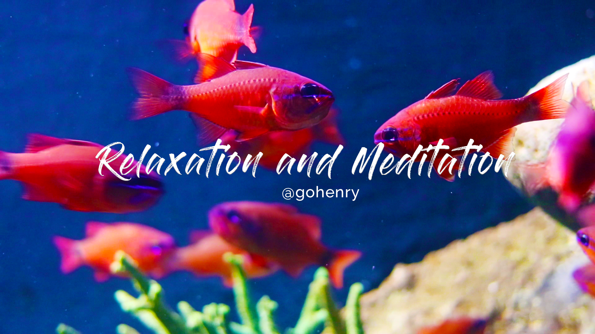Relaxation and  Meditation 3.png