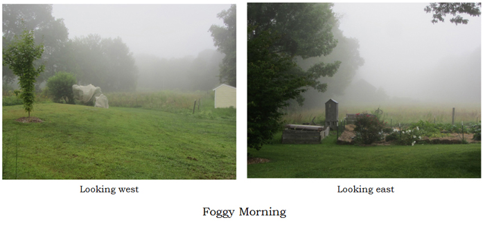 Foggy morning collage text crop August 2025.jpg