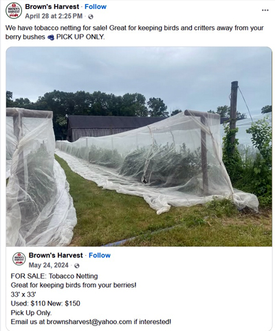 Tobacco netting2.jpg