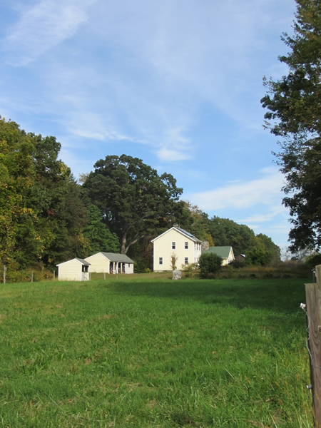 Front pasture and house crop Sept 2025.jpg