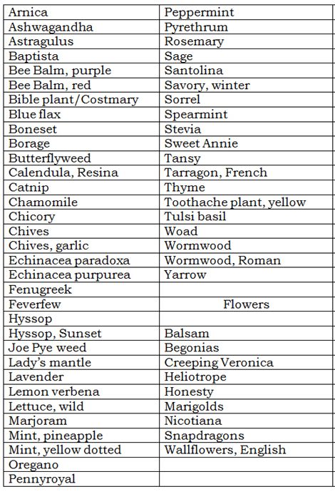 New Herb plant list 2025.jpg