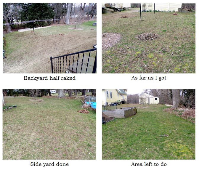 Backyard - raking collage text April 2024.jpg