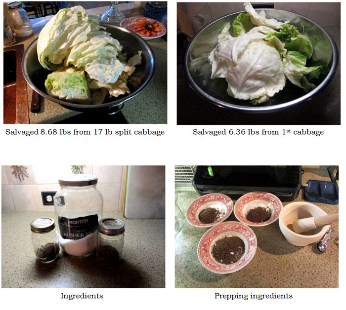 Sauerkraut - split cabbage, ingredients collage text crop Sept 2025.jpg
