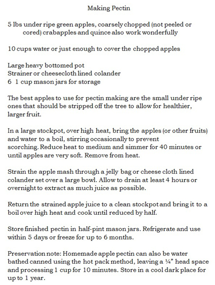 Pectin recipe crop.jpg