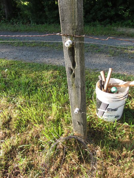 Front pasture fence repair crop August 2025.jpg