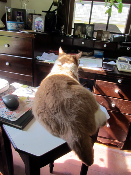 Photo editor supervisor crop August 2025.jpg