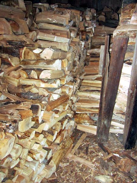 Woodshed - filling the back crop August 2025.jpg