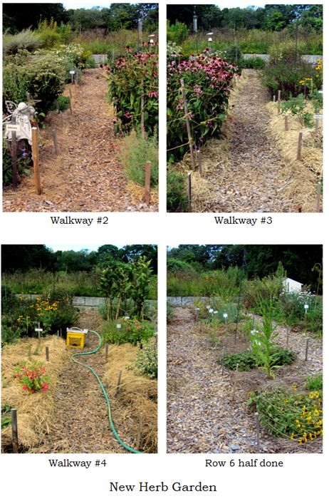 New Herb - walkways raked collage text crop August 2025.jpg