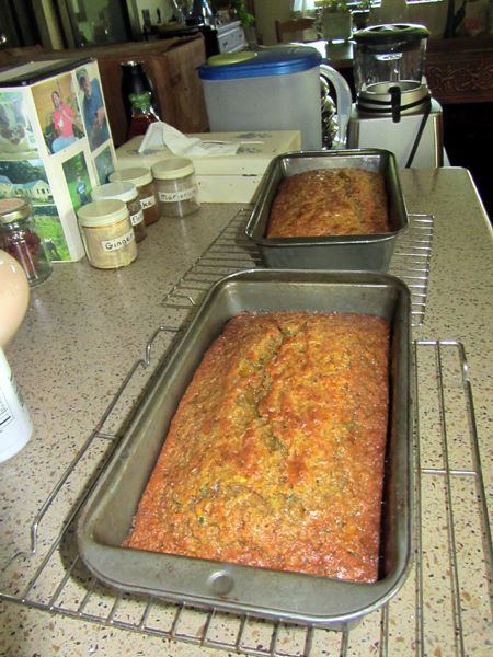 Zucchini bread cooling crop August 2025.jpg