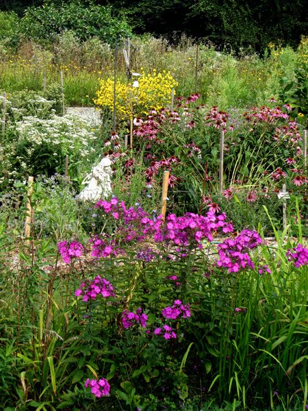 Flowers crop August 2025.jpg