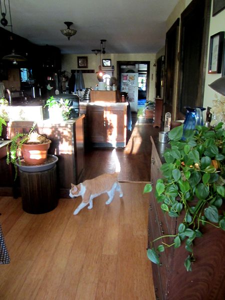 Larry and sun crop Sept 2025.jpg