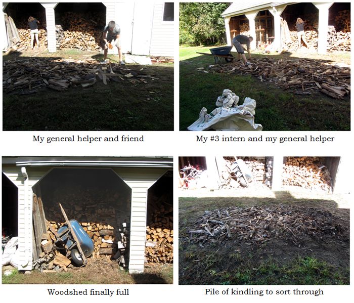 Wood in shed collage text crop Sept 2025.jpg