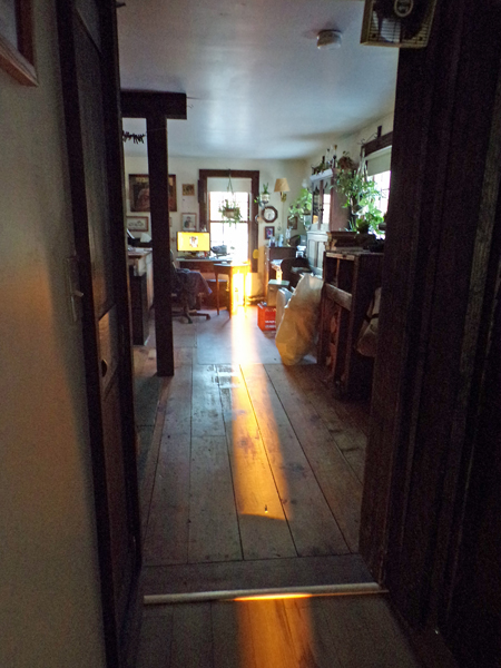 Sunlight thro to west window1 crop March 2022.jpg