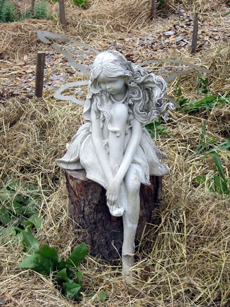 New Herb - Row 2, fairy in garden crop June 2025.jpg